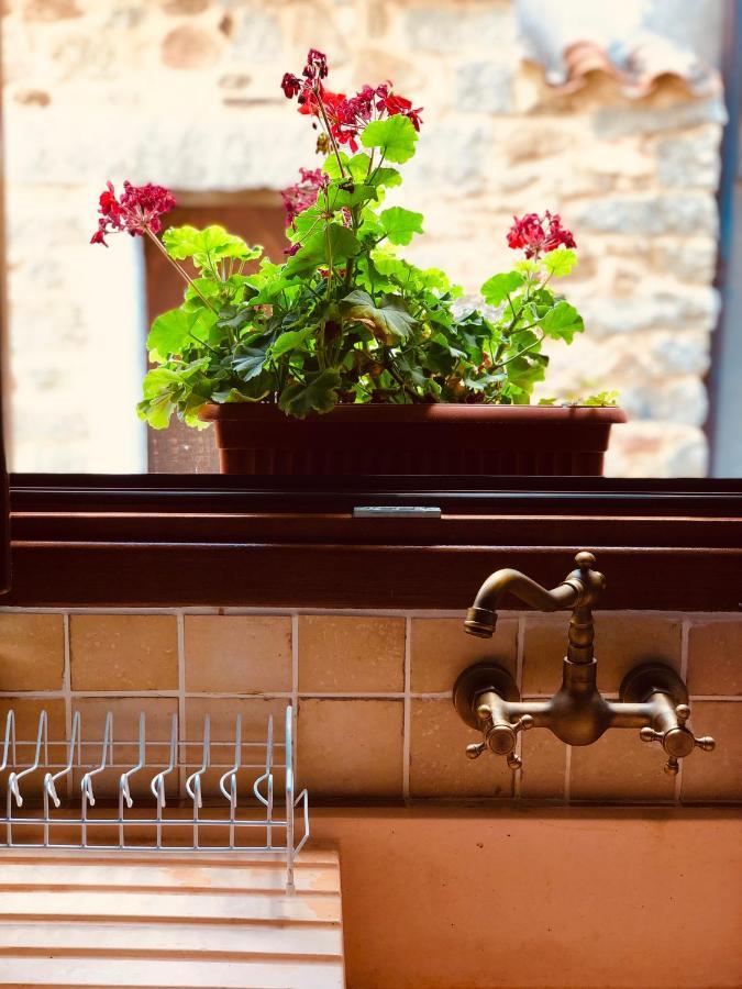 Casa Masini Bed & Breakfast Fonni Exterior photo